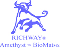 Richway International